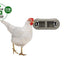 Beeztees kippen hangende voerbak - Nena's Pets 
