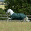 Bucas greenline turnout 100gr - Nena's Pets 