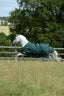 Bucas greenline turnout 100gr - Nena's Pets 