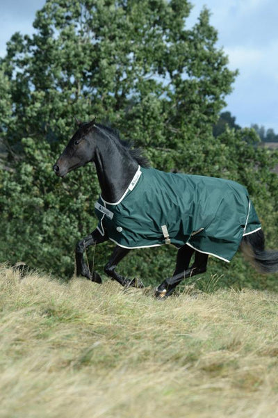 Bucas green-line met beige randje - Nena's Pets 