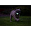 Chuckit Max Glow Air Fetch bal