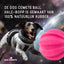 Dog Comets Meteorite halley