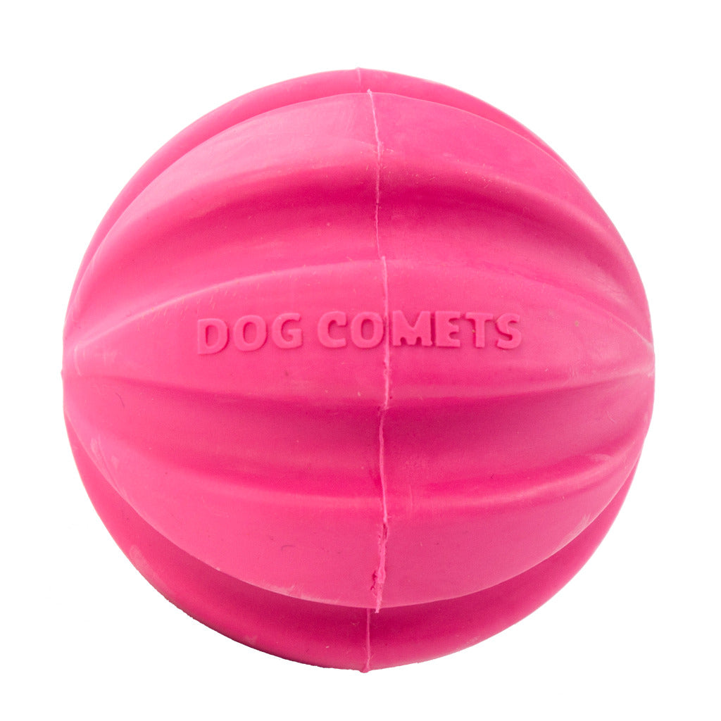 Dog Comets Meteorite halley