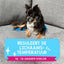 Coolpets Premium Solid gel koelmat
