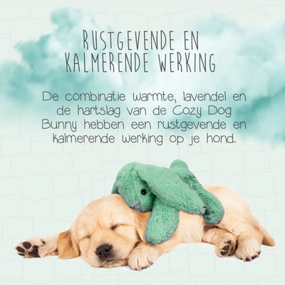 Cozy Dog Bunny Groen