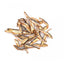 Carnis Spiering kat - Nena's Pets 