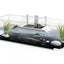 Ciano Tartarium 80 terrarium Wit 79x29,7x27,5 cm - Nena's Pets 