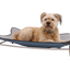 Ruffwear Mt. Everest Dog bed