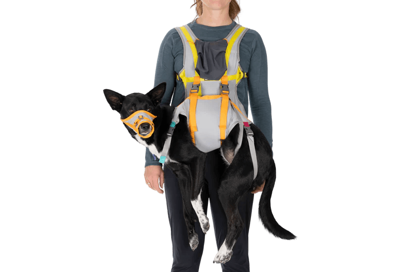 Ruffwear BackTrak™ Dog Evacuation Kit - Nena's Pets 