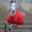 Bucas Crimson freedom turnout - Nena's Pets 