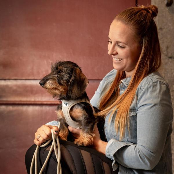 Curli vest harnas clasp air-mesh tuig - Nena's Pets 