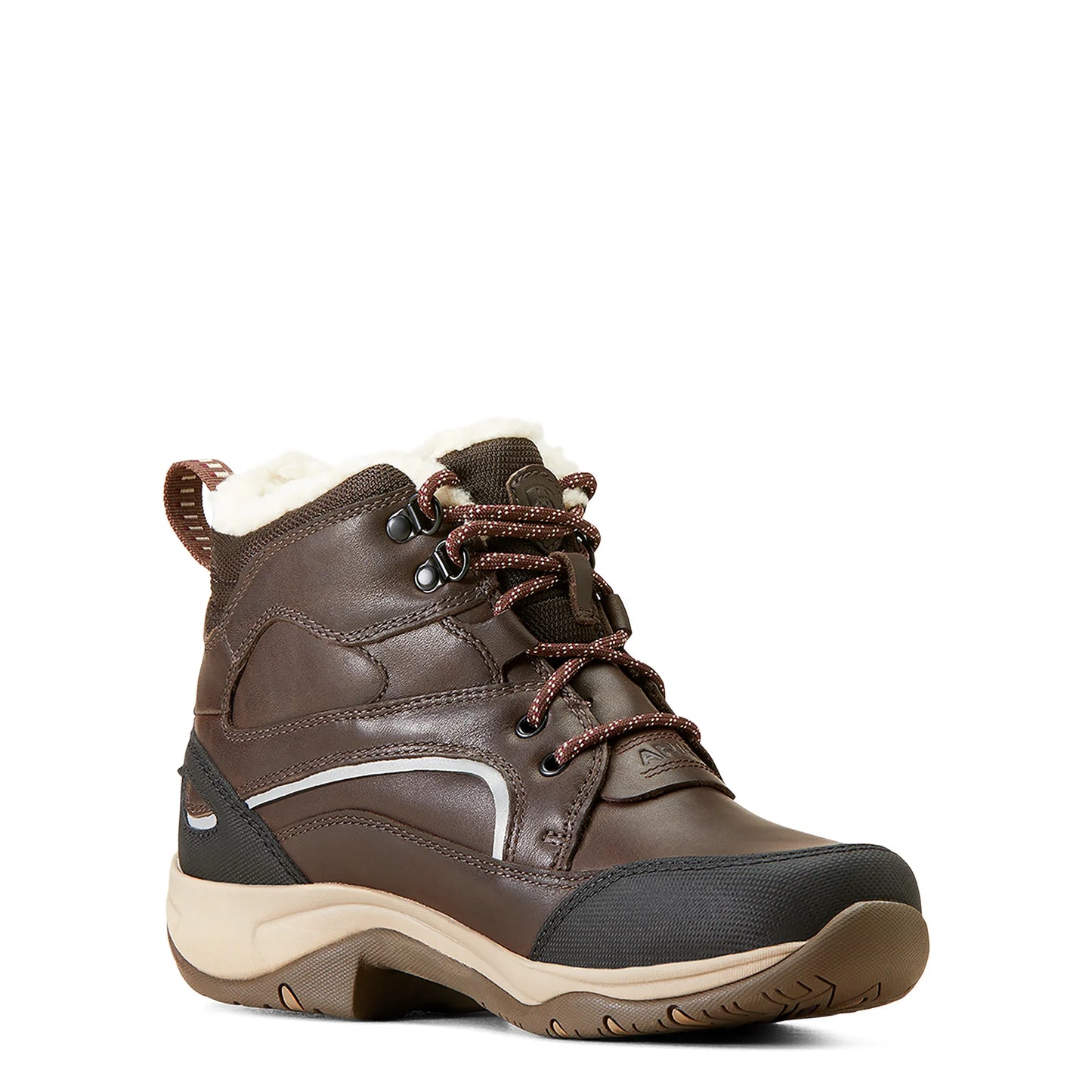 Ariat Telluride  Waterproof Insulated Boot