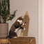 Designed by Lotte Berit - Krabplank - Nena's Pets 