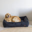 Designed by Lotte Ribbed - Hondenmand - Nena's Pets 