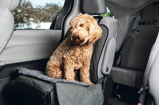 Dirty Dog Autodeken Voorstoel - Nena's Pets 