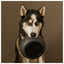 District 70 Bamboe voerbak - Nena's Pets 