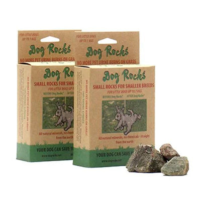Dog rocks - geen gele plekken in het gras - Nena's Pets 