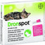 Dronspot voor de kat - Nena's Pets 