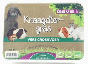 Esve Knaagdiergras vers groenvoer 120gr - Nena's Pets 