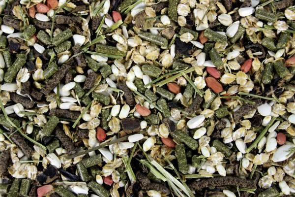 Esve Pet Salad - Nena's Pets 