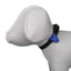 Flasher voor Honden lampje - Nena's Pets 