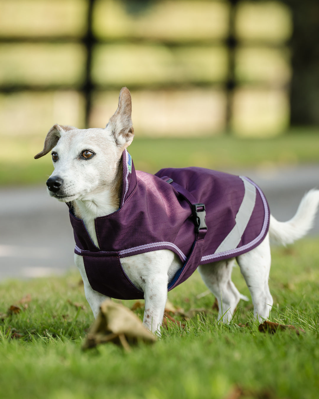 Bucas Freedom Dog Rug 300gram