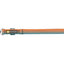 Front Range Short Leash - Nena's Pets 