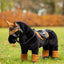 Toy pony Dekjes