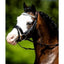 HB Luxe hoofdstel little sizes - Nena's Pets 