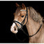 HB Showtime Hoofdstel Glamerdale - Nena's Pets 