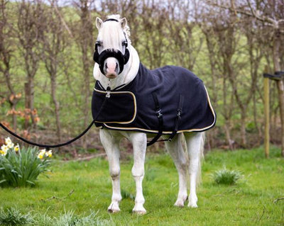 HB Showtime harry&hector dutch crown showdeken - Nena's Pets 