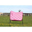 HB Sparkling glitter dekje - Nena's Pets 