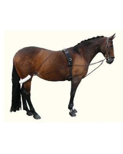 HB Pessoa teugel - Nena's Pets 