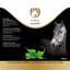 Excellent Horse Brandnetel