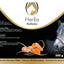 Excellent Horse Herbs Kurkuma