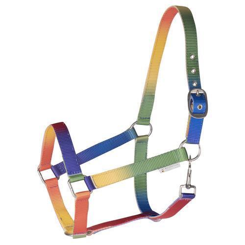 Halster en touw regenboog multi color - Nena's Pets 