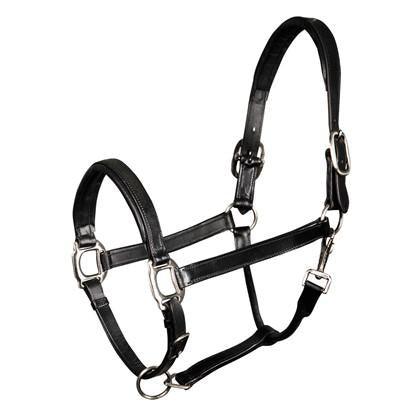 Harry's Horse halster leder padded - Nena's Pets 
