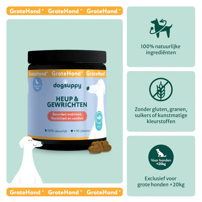 Dogsuppy heup en gewrichten