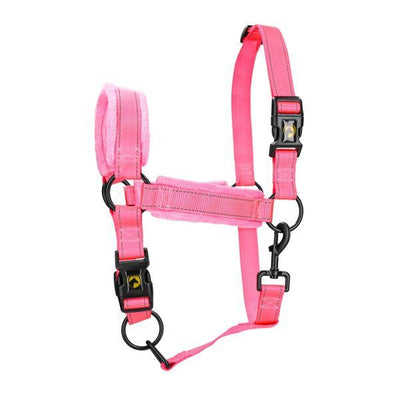 Horse Superior Halster - Nena's Pets 