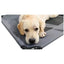 M-Pets verhoogd hondenbed - Nena's Pets 