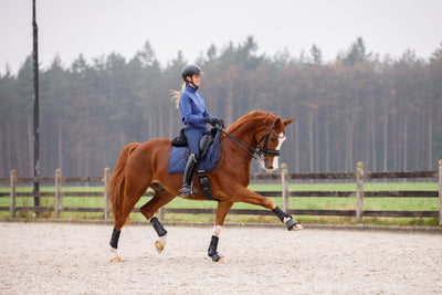 Mrs. Ros Sweater Poseidon