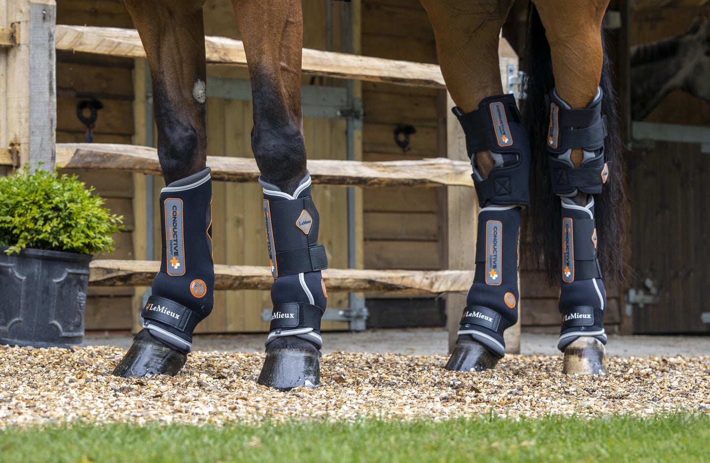 LeMieux Conductive Magnotherapy Boots