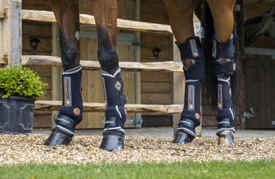 LeMieux Conductive Magnotherapy Hock Boot
