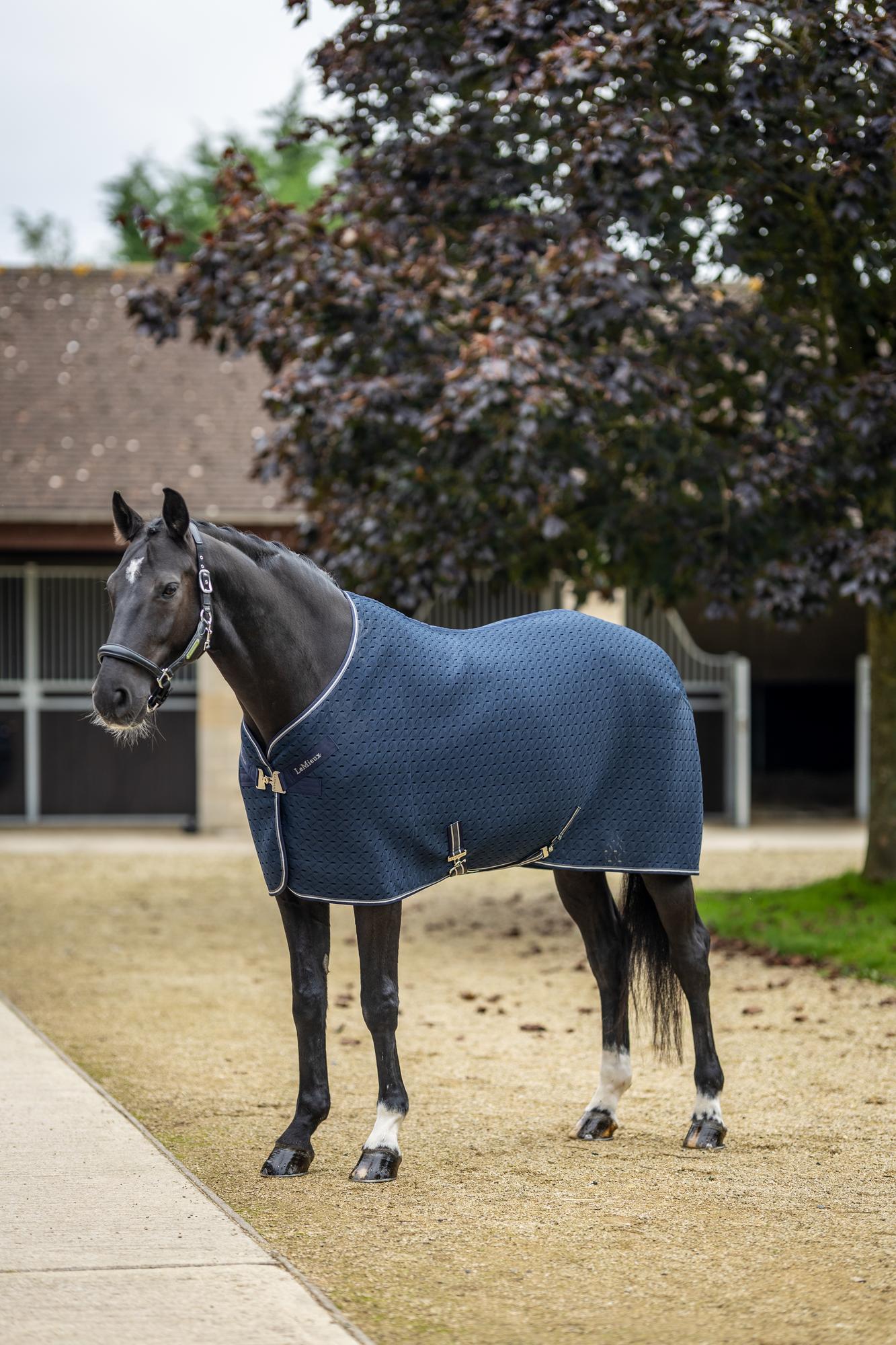 Kudos 3D Mesh Travel Rug Navy - Nena's Pets 