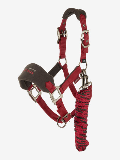 Mini vogue headcollar halster AW24 - Nena's Pets 