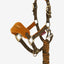 Mini vogue headcollar halster AW24 - Nena's Pets 