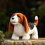 Toy Puppy's verschillende soorten - Nena's Pets 