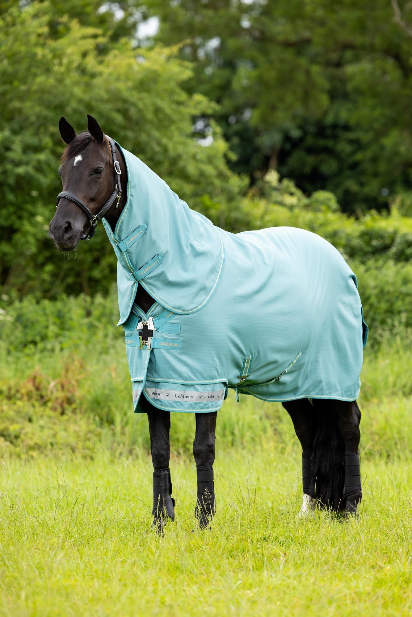 Lemieux Arika Ripstop 0g Turnout Deken '25SS