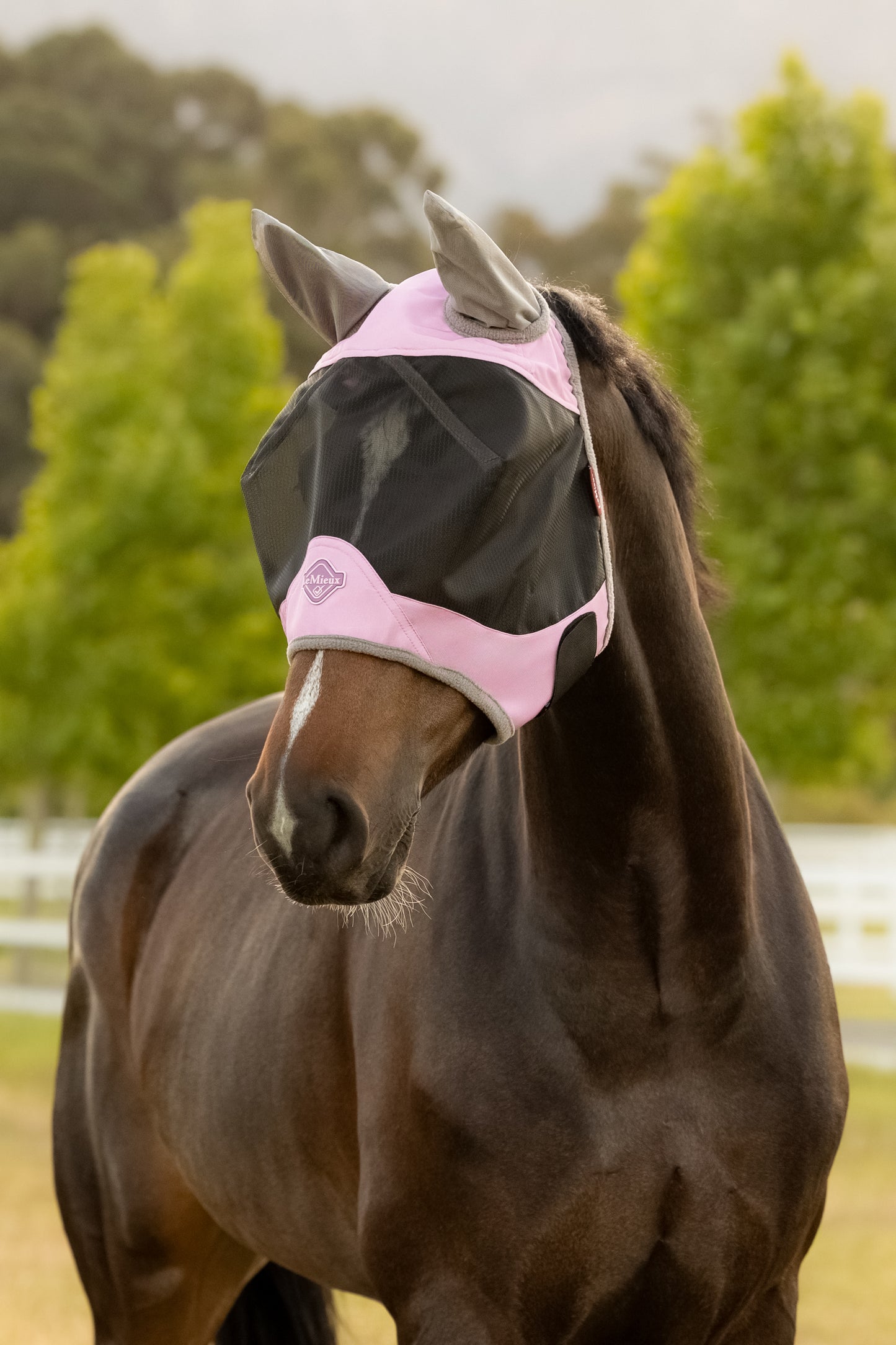 LeMieux Visor-Tek half vliegenmasker 'SS26
