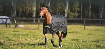 Bucas Irish Turnout 150gram + Neck Set